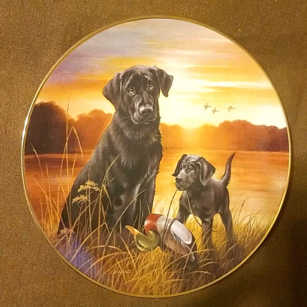 Labrador Retriever Collector Plate
